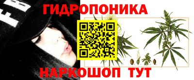 круглые Можга