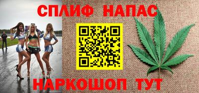 шишки Моздок