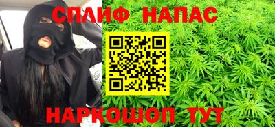 шишки Моздок