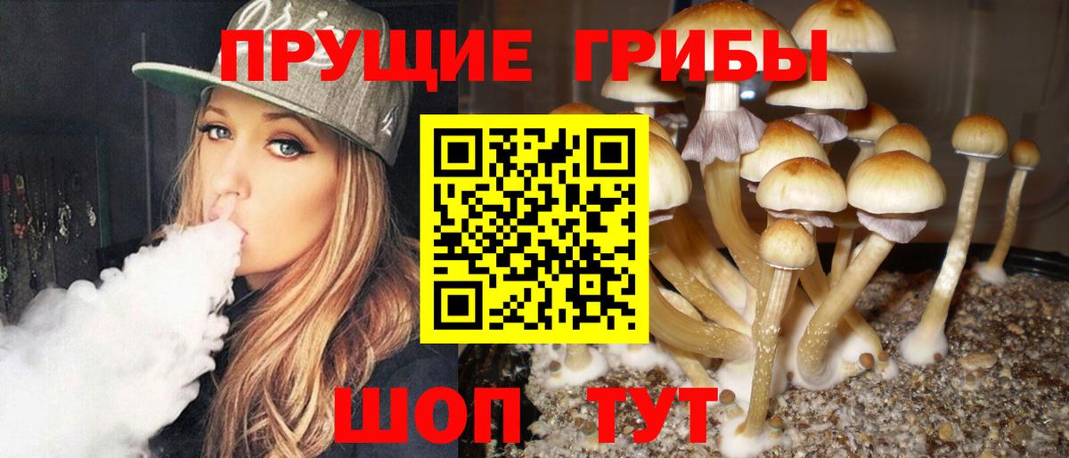 Псилоцибиновые грибы прущие грибы  Вход с VPN  Истра 
